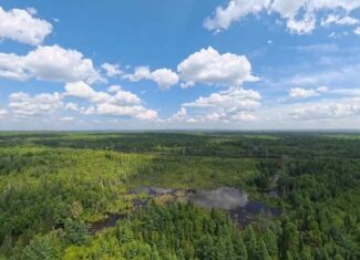 58.8 Wooded Acres with Pond – Pittsfield, Maine
